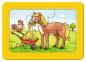 Preview: 3 x 6 Teile Ravensburger Kinder Rahmen Puzzle my first puzzles Gute Tierfreunde 06571