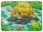 Preview: 2, 4, 6, 8 Teile Ravensburger Kinder Puzzle my first puzzles Niedliche Haustiere 06951