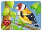 Preview: 2, 4, 6, 8 Teile Ravensburger Kinder Puzzle my first puzzles Süße Gartenbewohner 06952