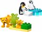 Preview: LEGO® DUPLO® Wildtier-Familien: Pinguine und Löwen 10 Teile 10442