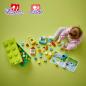 Preview: LEGO® DUPLO® Steinebox 65 Teile 10913