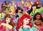 Preview: 150 Teile Ravensburger Kinder Puzzle XXL Disney Princess Träume können wahr werden 12873