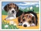 Preview: Ravensburger Malen nach Zahlen Classic Serie D Jack Russel Welpen 28329