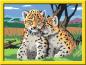 Preview: Ravensburger Malen nach Zahlen Classic Serie D Kleine Leoparden 28486