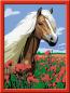 Preview: Ravensburger Malen nach Zahlen Classic Serie D Pferde Haflinger 28652