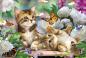 Preview: 150 Teile Schmidt Spiele Kinder Puzzle Verspielte Katzenbabys 56468