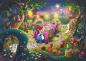 Preview: 6000 Teile Schmidt Spiele Puzzle Thomas Kinkade Disney Mad Hatter’s Tea Party 57398