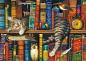 Preview: 1000 Teile Schmidt Spiele Puzzle Charles Wysocki Frederick, der Literat 59991