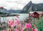 Preview: 1000 Teile Ravensburger Puzzle Scandinavian Places Reine, Lofoten, Norwegen 12000112