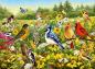 Preview: 500 Teile Ravensburger Puzzle Vogelwiese 12000336