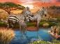 Preview: 500 Teile Ravensburger Puzzle Zebras am Wasserloch 12000365