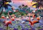 Preview: 1000 Teile Ravensburger Puzzle Pinke Flamingos 12000574