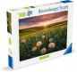 Preview: 500 Teile Ravensburger Puzzle Pusteblumen im Sonnenuntergang 12000592