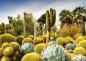 Preview: 1000 Teile Ravensburger Puzzle The Huntington Desert Garden, California, USA 12000850