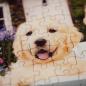 Preview: 200 Teile Ravensburger Puzzle Feel & Well Golden Retriever 12001368