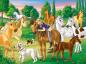 Preview: 300 Teile Ravensburger Kinder Puzzle XXL Lissy und Arcado auf der Koppel 12004009