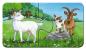 Preview: 9 x 2 Teile Ravensburger Kinder Puzzle my first puzzles Tierfamilien auf dem Bauernhof 05072