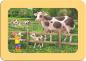 Preview: 3 x 6 Teile Ravensburger Kinder Rahmen my first puzzles Lotta auf dem Bauernhof 05679