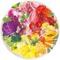 Preview: 500 Teile Ravensburger Puzzle Circle of Colors Fruits & Vegetables 17169