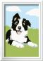 Preview: Ravensburger Malen nach Zahlen Classic Serie F Border Collie Welpe 23759