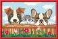 Preview: Ravensburger Malen nach Zahlen CREART Serie C Hunde und Katze 23855