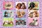 Preview: 100 Teile Schmidt Spiele Kinder Puzzle Meine Tierfreunde 56268