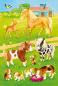 Preview: 3 x 24 Teile Schmidt Spiele Kinder Puzzle Niedliche Haustiere 56518