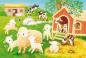 Preview: 3 x 24 Teile Schmidt Spiele Kinder Puzzle Niedliche Haustiere 56518