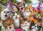 Preview: 500 Teile Schmidt Spiele Puzzle Katzen-Selfie 58391