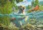 Preview: 1000 Teile Schmidt Spiele Puzzle Mark Frederickson Hundeliebe, gelber Labrador auf Fischjagd 58557