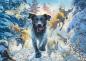 Preview: 1000 Teile Schmidt Spiele Puzzle Mark Frederickson Hundeliebe, schwarzer Labrador im Schnee 58558