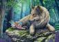 Preview: 500 Teile Schmidt Spiele Puzzle Wolf und Elfe 59714