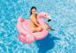 Preview: Intex Wasser Spielzeug Ride-On Pink Flamingo 142cm x 137cm x 97cm ab 3 Jahren 57558NP