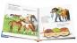 Preview: Ravensburger Buch Wieso? Weshalb? Warum? Junior Das Pony Band 20 32773