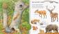 Preview: Ravensburger Buch Wieso? Weshalb? Warum? Mein junior-Lexikon Tiere 32891