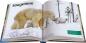 Preview: Ravensburger Buch Kindersachbuch National Geographic Kids Lexikon der Tiere 48095