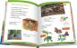 Preview: Ravensburger Buch Wieso? Weshalb? Warum? Erstleser Band 10 In der Natur 60047