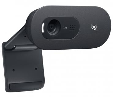 Logitech Webcam C505e HD 720p 1280x720 Pixel 30 FPS USB schwarz 960-001372