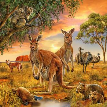 3 x 49 Teile Ravensburger Kinder Puzzle Tiere der Erde 09330