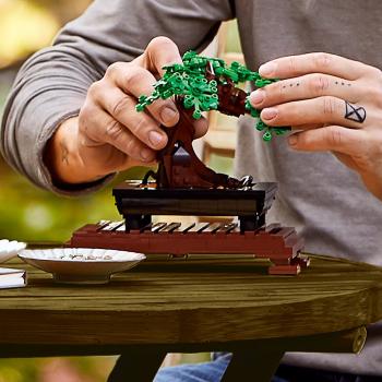 LEGO Botanicals Bonsai Baum 878 Teile 10281