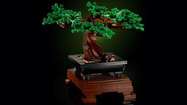 LEGO Botanicals Bonsai Baum 878 Teile 10281