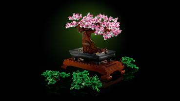 LEGO Botanicals Bonsai Baum 878 Teile 10281