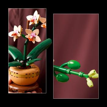 LEGO Botanicals Mini-Orchidee 274 Teile 10343