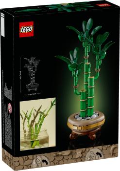 LEGO Botanicals Glücks-Bambus 325 Teile 10344