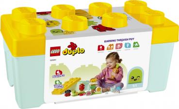 LEGO® DUPLO® Creative Play Biogarten 43 Teile 10984