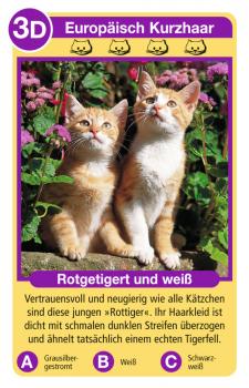 32 Blatt Ravensburger Kinder Kartenspiel Tier Quartette Katzen 20421