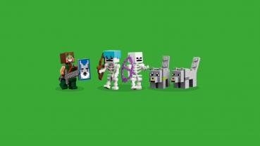 LEGO® Minecraft™ Die Wolfsfestung 312 Teile 21261