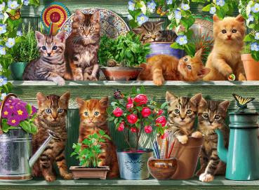 500 Teile Ravensburger Puzzle Katzen im Regal 12000205