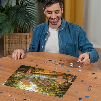 500 Teile Ravensburger Puzzle Cottage am Fluß 12000218