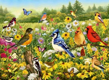 500 Teile Ravensburger Puzzle Vogelwiese 12000336